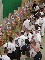Hallenturnier 2003